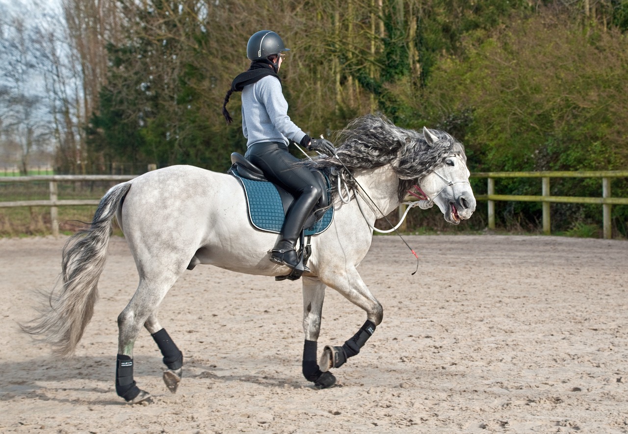 Pferde reiten - Darauf ist zu achten