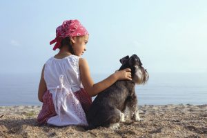Hundegeburtstag: Geschenkideen für unsere treuen Begleiter