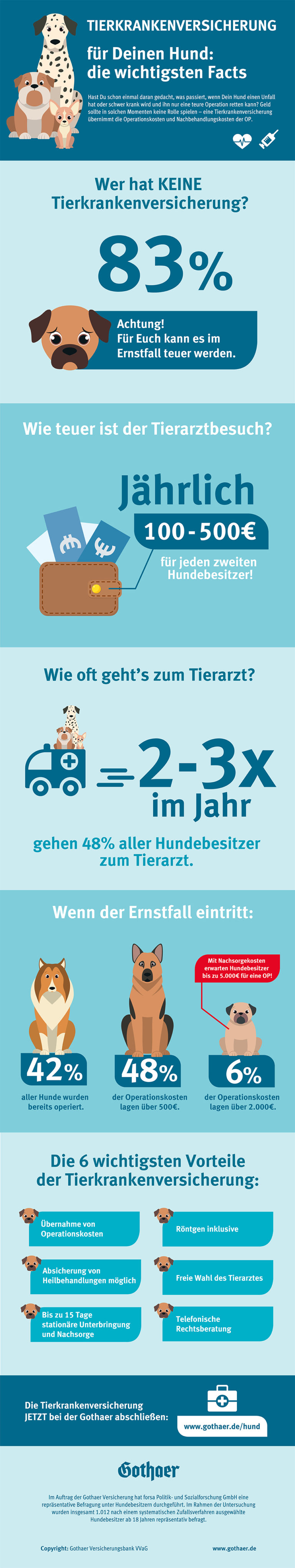 Tierkrankenversicherung Zu wenige haben eine!  Bloghaustiere.de